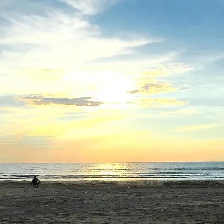 President 3* 格勒姆