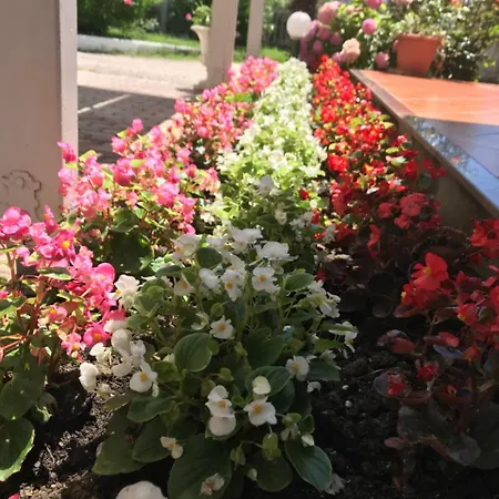 酒店 President 格勒姆