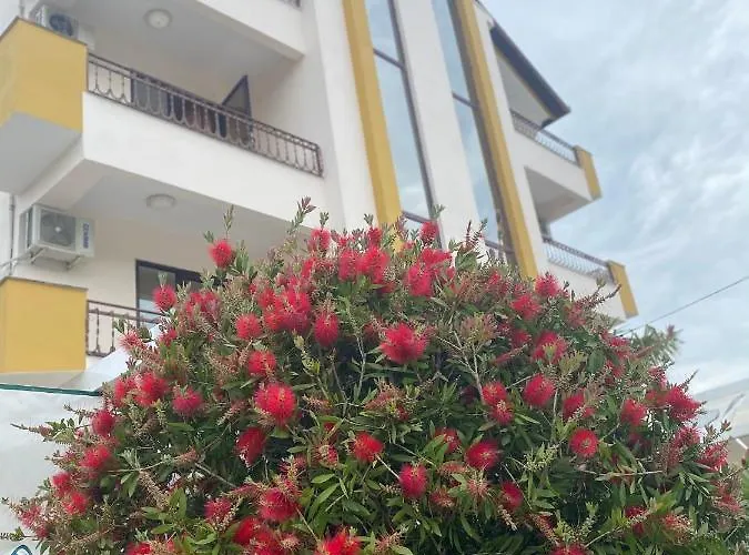 Отель President 3*