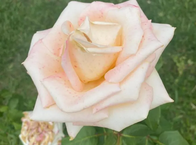 President Отель 3*