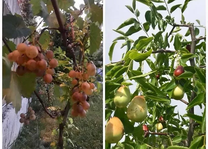 Отель President 3*