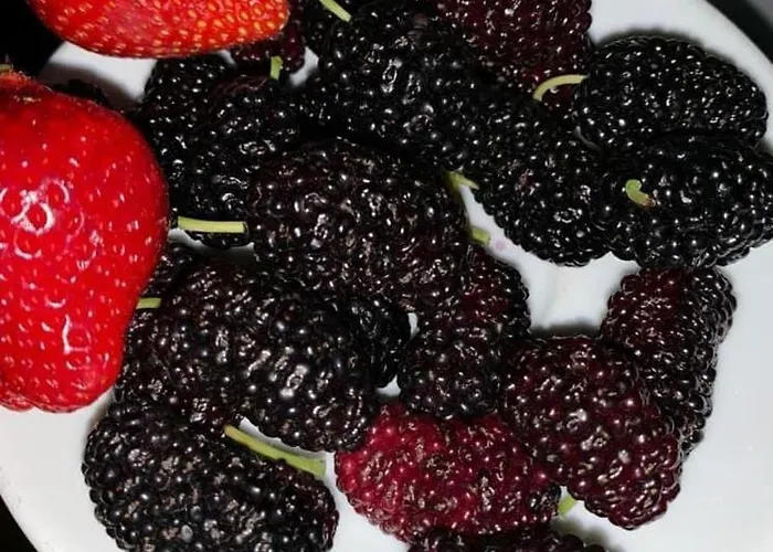 President 3* Голем