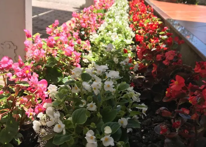 Отель President Голем